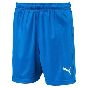 PUMA SHORTS LIGA CORE ROYAL 703437- 02 Enfant